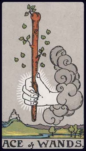 Tarot card Ace of Wands